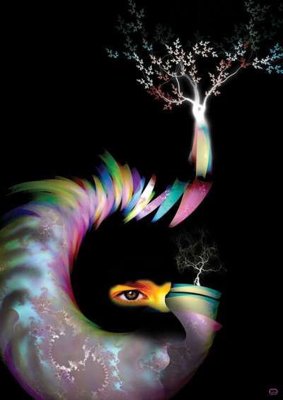 Evolution of affordance