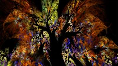 Winter trees keeping the night (밤을 지키는 겨울나무)