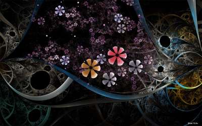 Flower rain (꽃 비)