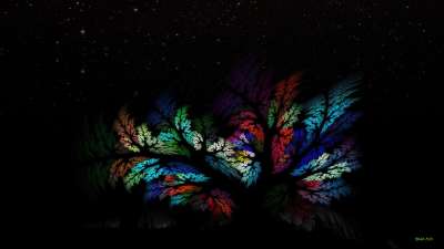 Autumnal tree(오색나무)