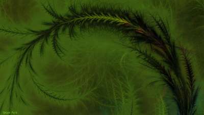 프랙탈 잡초(Green Weed)