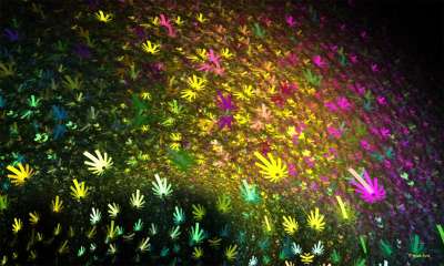 프랙탈 꽃밭(Fractal flower field)