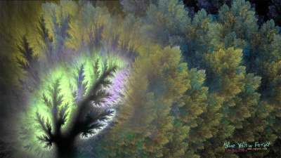 청황색 숲(Blue Yellow Forest)