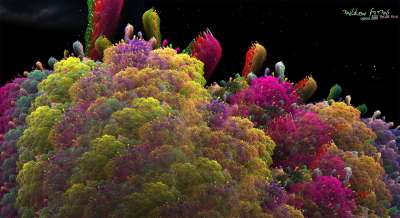 mildew forms(곰팡이 꽃이 피었습니다.)