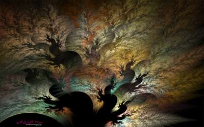 Witchcraft tree(요술나무)