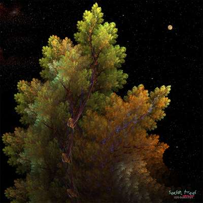 season trees(사철나무와 달 빛)
