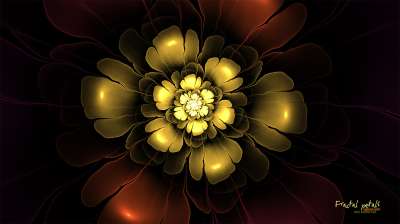 Fractal petals (프랙탈 꽃잎)