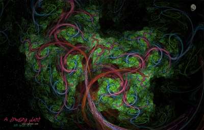 A climbing plant(덩굴나무)