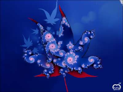 물들어가는 단풍을 바라보며