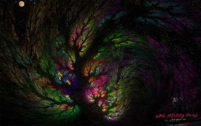 이야기가 담긴 나무(Wood containing stories)