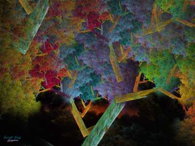 forest fires(산불)