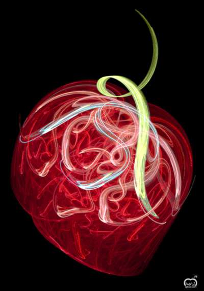 프랙탈 딸기(Fractal strawberry)