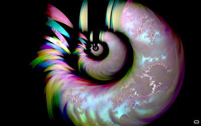 프랙탈 서클(Fractal circle)