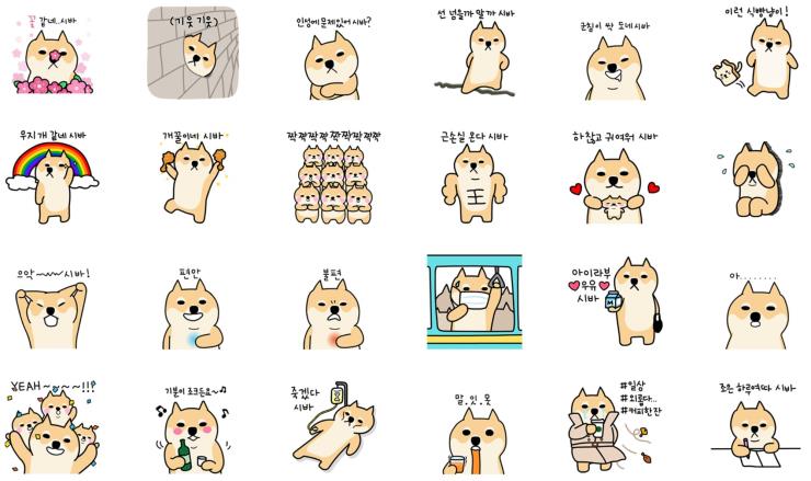 노하연 · KakaoTalk_20260506_081419813_02