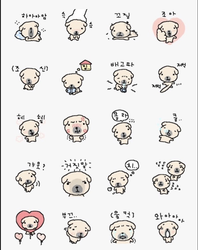 황나연 · KakaoTalk_20260506_091222527_01